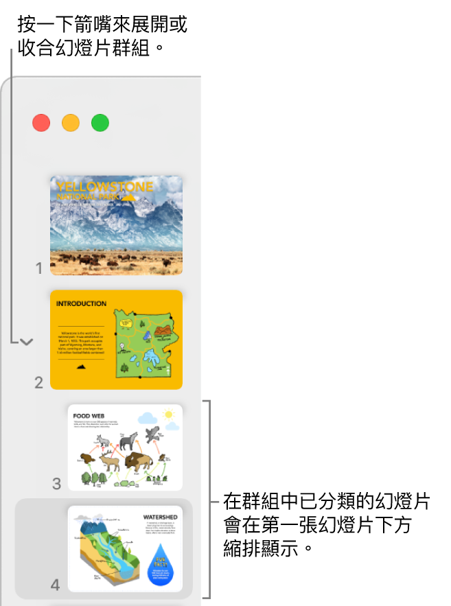 顯示內縮幻燈片的幻燈片導覽器。