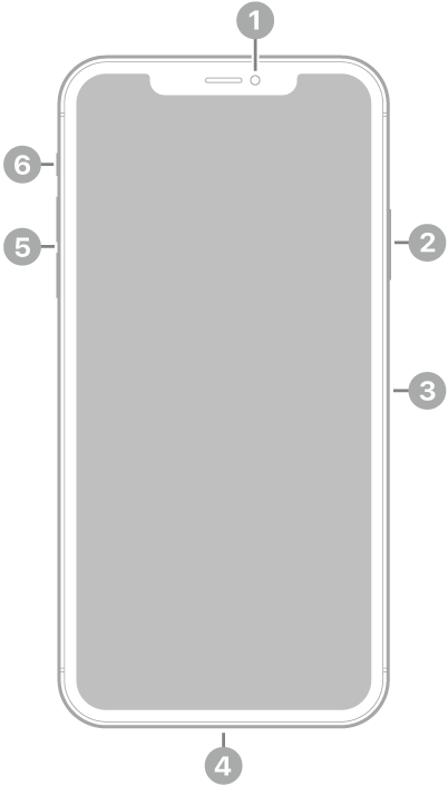 The front view of iPhone 11 Pro Max. The front camera is at the top center. On the right side, from top to bottom, are the side button and the SIM tray. The Lightning connector is on the bottom. On the left side, from bottom to top, are the volume buttons and the Ring/Silent switch.