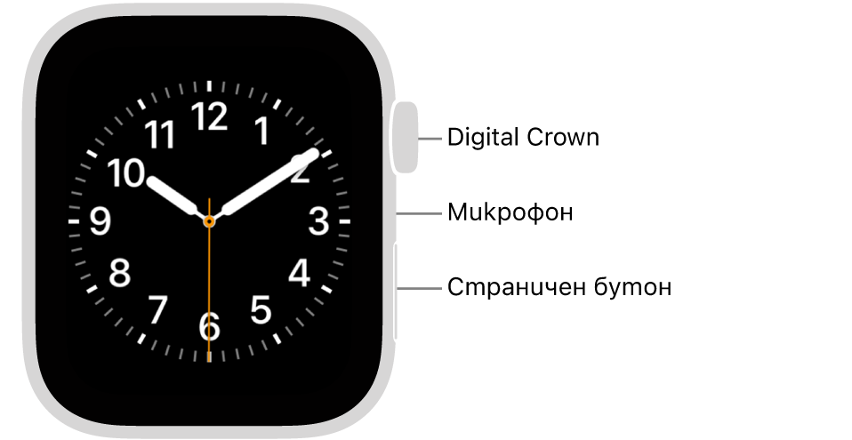 Предната страна на Apple Watch Series 6 с екран, показващ циферблат, и, от горе надолу, встрани от часовника коронката Digital Crown, микрофон и страничен бутон.