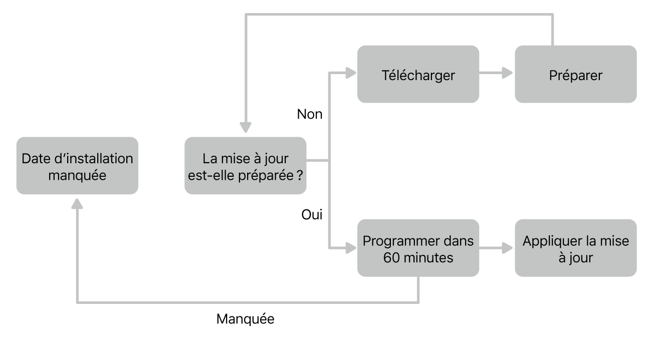 Graphique de mise à jour de logiciels.