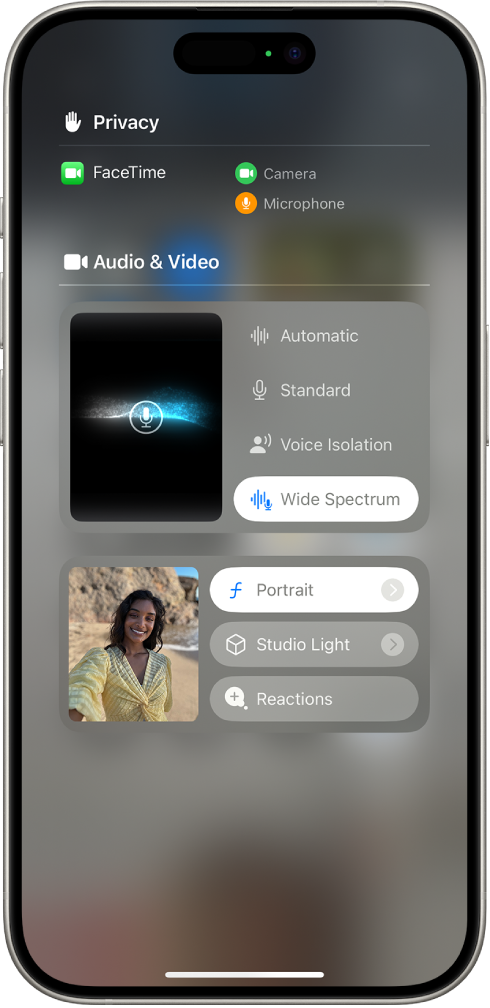 The Video Effects settings in Control Center during a FaceTime call. Portrait mode is turned on and the caller’s image appears in an enlarged tile with the Portrait effect of a blurred background and prominent subject.