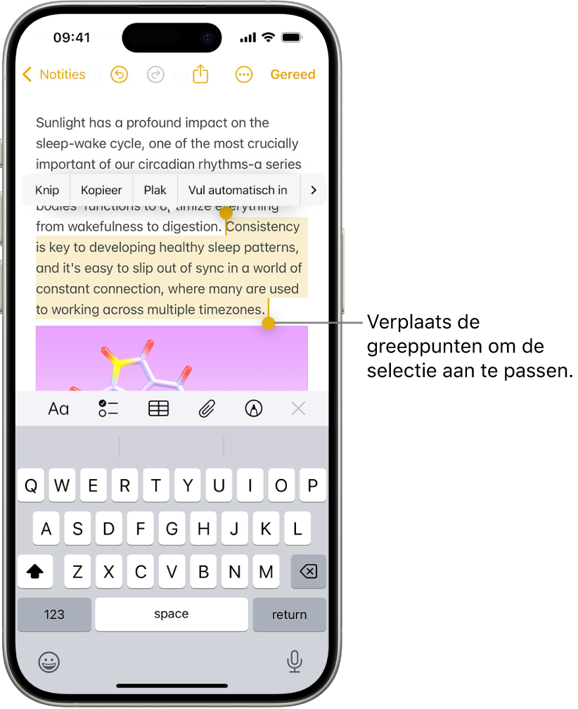 Tekst is geselecteerd in een notitie in de Notities-app. Boven de geselecteerde tekst staan de knoppen 'Knip', 'Kopieer', 'Plak' en 'Vul automatisch in'. De geselecteerde tekst is gemarkeerd, met aan beide uiteinden greeppunten om de selectie aan te passen.