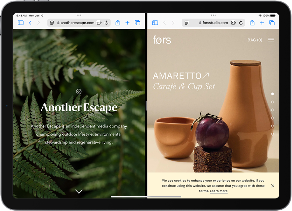 شاشة تعرض صفحتي ويب مختلفتين مقسمتين باستحدام شريط تقسيم قابل للتعديل. ويوجد في الجزء العلوي من كل صفحة ويب أيقونة عناصر التحكم في تعدد المهام.
