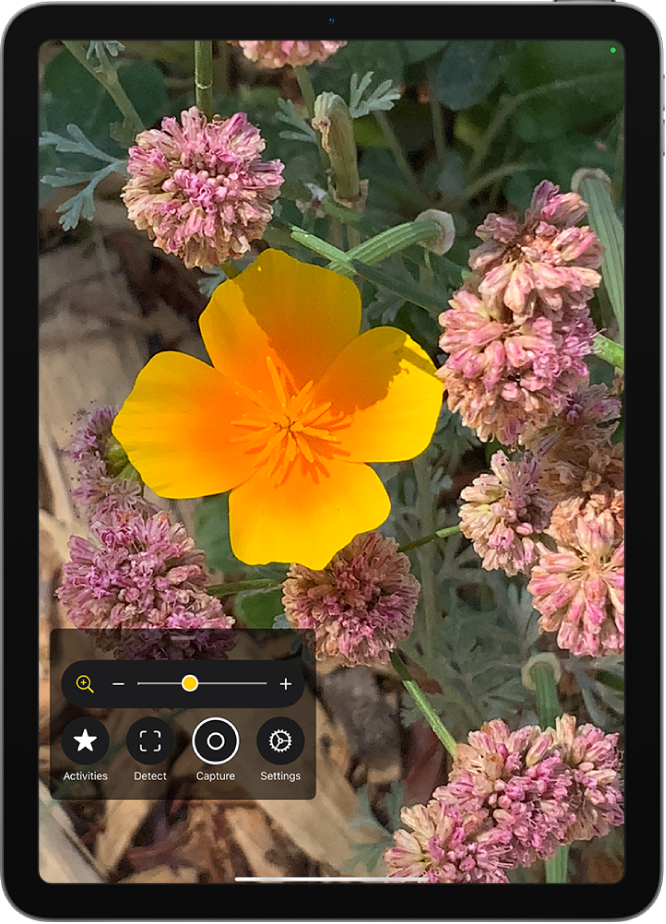 The Magnifier app showing a close-up of a flower.