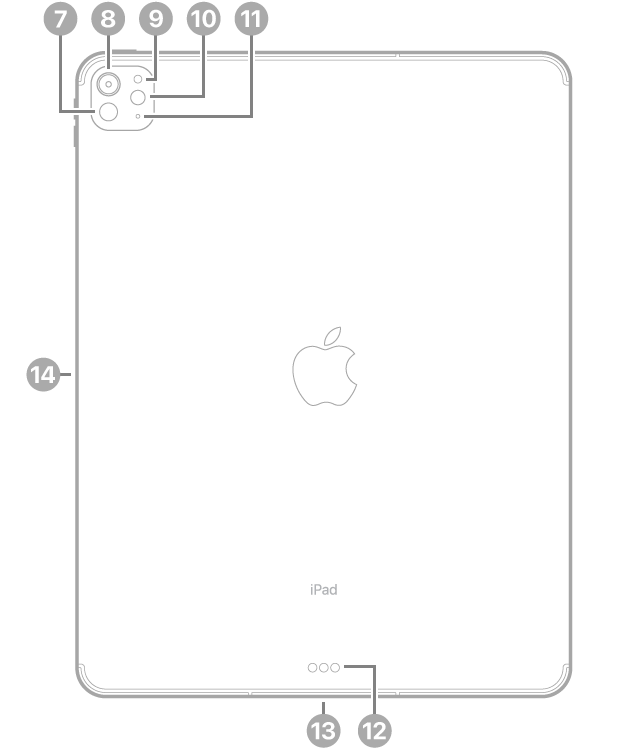 13 英寸 iPad Pro (M4) 背面视图，标注指向左上方的激光雷达、后置相机、后置环境光感应器、闪光灯和麦克风；底部中央的智能接点和 USB-C 接口；以及左侧用于 Apple Pencil 的磁性接口。