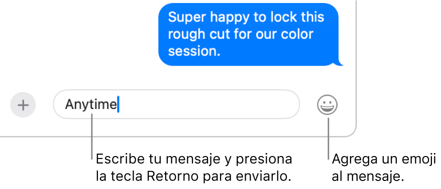 Una transcripción en la ventana de Mensajes con el campo de mensaje situado en la parte inferior de la ventana.