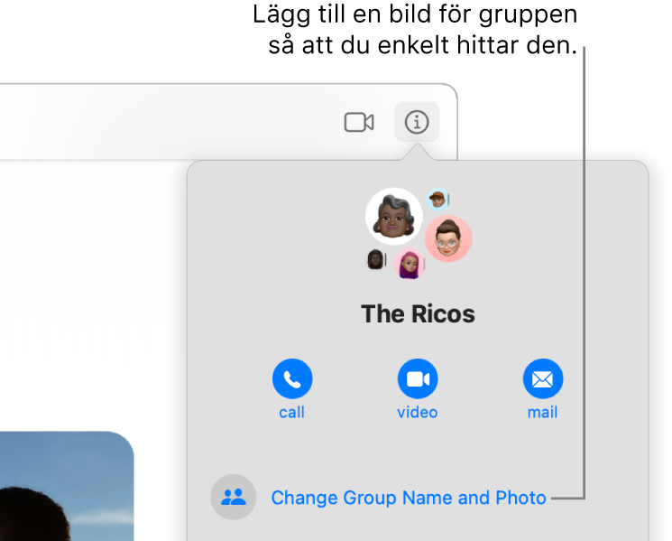 Infovyn i en gruppkonversation som visas när du har klickat på infoknappen i en konversation visar symboler för gruppmedlemmarna och gruppnamnet. Nedanför gruppnamnet finns knappar för att ringa ett röst- eller videosamtal i FaceTime eller mejla till gruppen. Nedanför dessa finns knappen för att ändra namnet och bilden för gruppen.