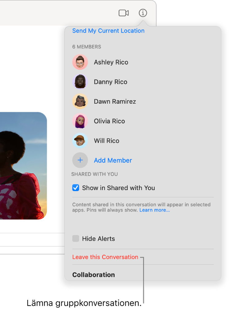 Infovyn som visas efter att du har klickat på infoknappen i en konversation. Lämna konversationen finns nära nedre kanten av dialogrutan.