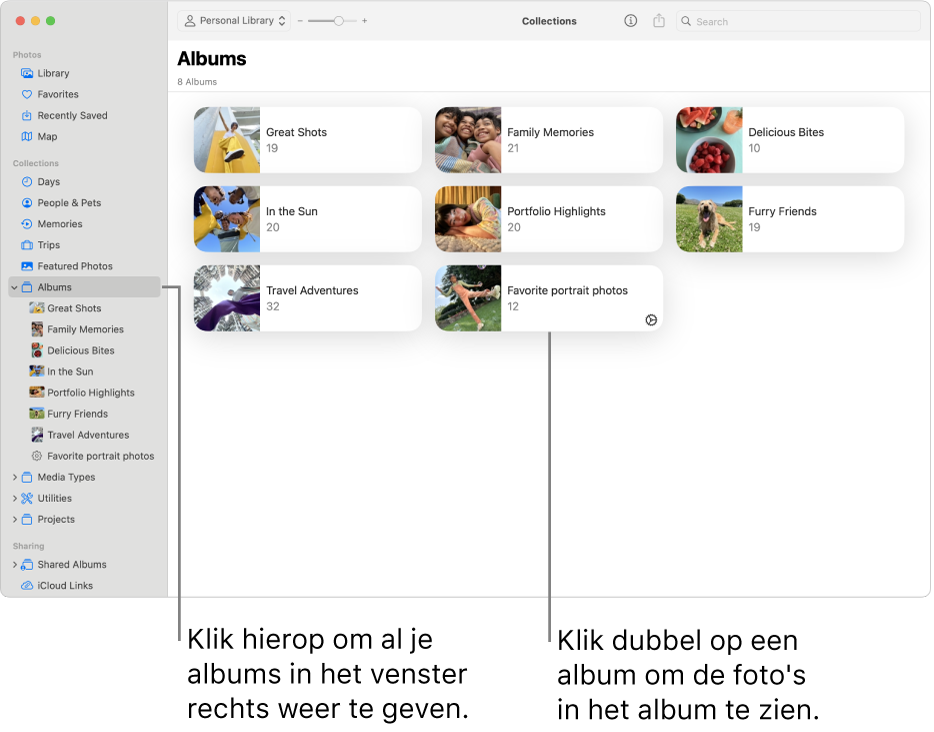 Het Foto's-venster met 'Albums' geselecteerd in de navigatiekolom en albums aan de rechterkant.