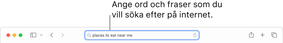 Safaris smarta sökfält där du kan ange ord och fraser att söka efter på internet.