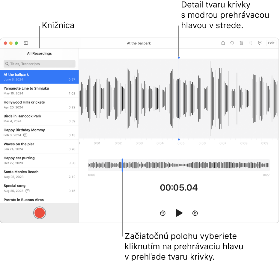 Apka Diktafón zobrazujúca nahrávky v knižnici na ľavej strane. Vybratá nahrávka sa zobrazuje v okne napravo od zoznamu v podobe detailu v tvare krivky s modrou prehrávacou hlavou v strede. Pod nahrávkou sa nachádza prehľad krivky.