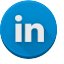 LinkedIn Icon