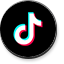 TikTok Icon