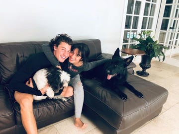 shawn mendes and camila cabello hug on a brown couch while cuddling two dogs