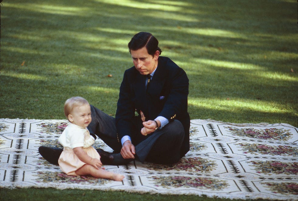 Photograph, People, Sitting, Grass, Photography, Child, Tree, Adaptation, Plant, Recreation, 