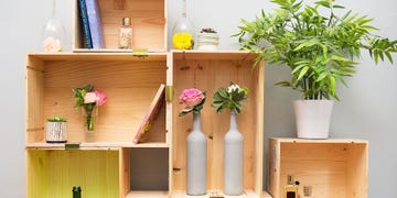 Shelf, Flowerpot, Vase, Houseplant, Room, Flower, Plant, Furniture, Shelving, Interior design, 