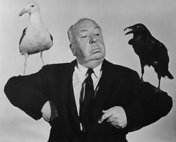 alfred hitchcock mejores fotos