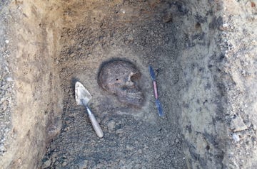 archaeological excavation with skeletons