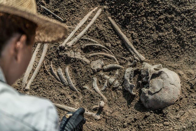 archaeologist excavating skeleton