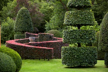 arne maynard allt–y–bella, home in monmouthshire, wales