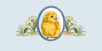 illustration of a yellow chick with flowers