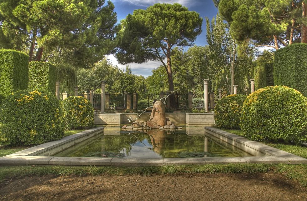 cecilio rodriguez jardines con alberca, escultura y arbustos y arboles