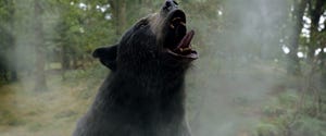 a bear looking up at the sky and screaming in the woods, surrounded by a white mist