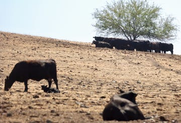 california in third consecutive year of drought