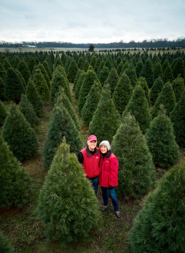 couple wearing red jackets standing among christmas trees in a field