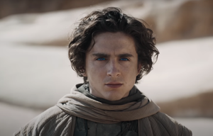 timothee chalamet in dune part two