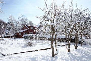 wintry scene with snow covered trees and a red farmhouse in the distance