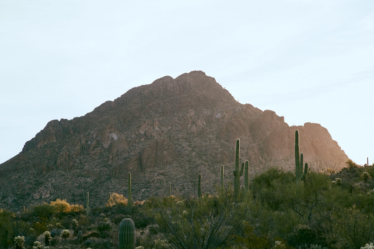 dove mountain