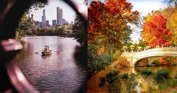 Nature, Tree, Natural landscape, Reflection, River, Waterway, Autumn, Leaf, Sky, Bank, 