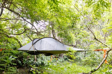 flying hammock tent in jungle