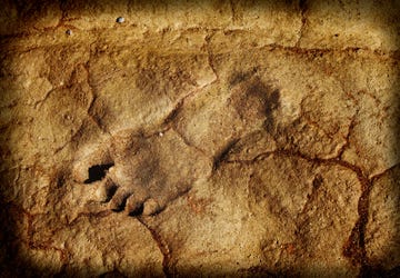 footprint