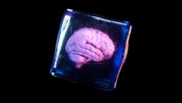 a frozen human brain inside a spinning ice cube 3d illustration