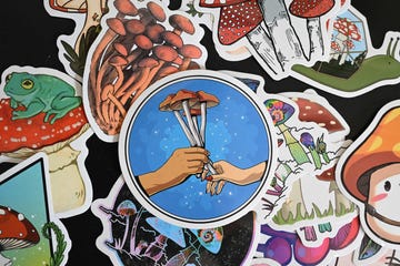 decorative stickers are seen for sale at high desert spores, a shop which sells supplies to grow hallucinogenic and gourmet mushrooms, in portland, oregon, on may 10, 2023 since january 1 oregon has legalized the adult use of psilocybin, the active hallucinogenic component of magic mushrooms, but only under the supervision of a licensed psilocybin facilitator and only at a state sanctioned psilocybin service center photo by robyn beck afp photo by robyn beckafp via getty images