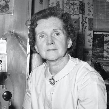 rachel carson