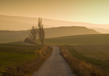 a dirt road with trees on the side and hills in the background