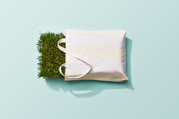 tote bag with grass visual metaphor for 'going green', sustainability, eco friendly