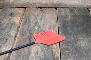 red fly swatter single flyswatter made of plastic and unfailing in catching flies on wooden floor background