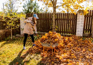 how to get rid of leaves