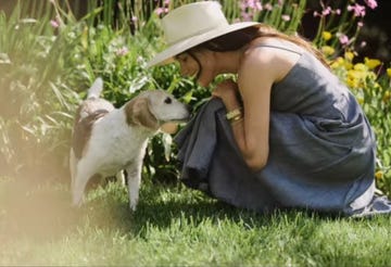 a person interacting affectionately with a beagle in a garden setting