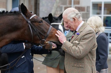 king charles iii petting a horse on the nose as he feeds it a carrot