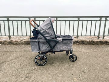 larktale wagon stroller on sidewalk in front of water