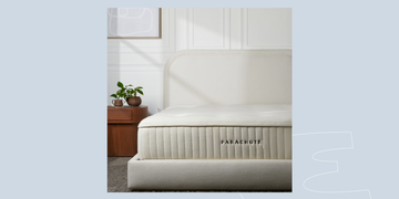 a white couch with a plant on it