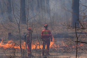 prescribed burn at toronto's high park