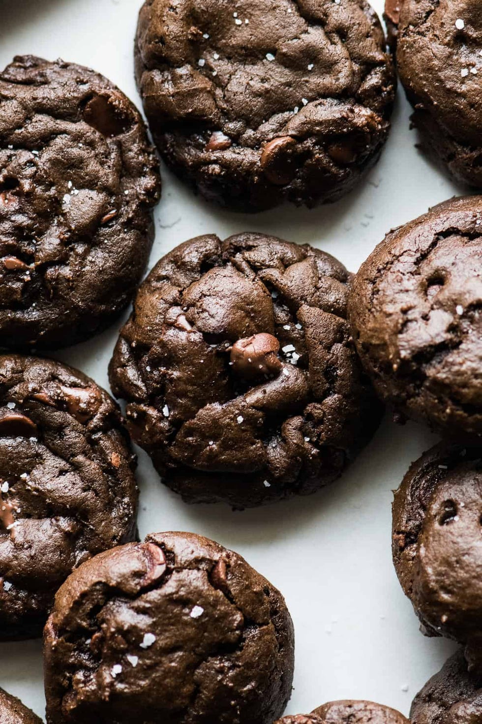 a group of chocolate chip cookies