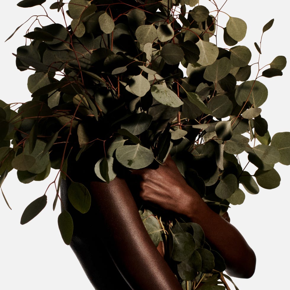 closeup of a person holding a large bunch of green leaves against a plain background