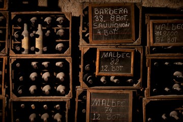 wine cellar, photo courtesy of norton vineyards